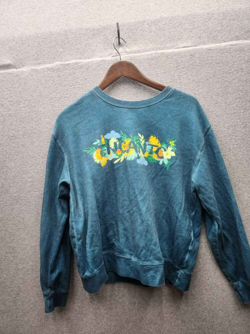 Disney Encanto Womens Blue Crewneck Sweatshirt Size M With Floral Graphic Design